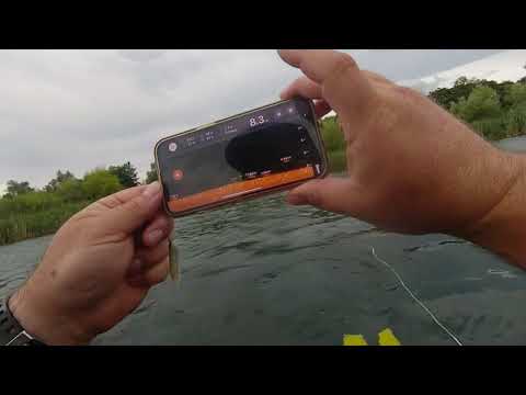 Видео: За костури, по време на буря + тактика за водене на малки пилкери.