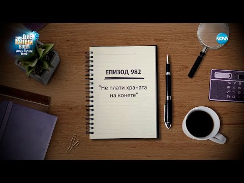 Видео: Съдебен спор - Епизод 982 - Не плати храната на конете (17.02.2024)