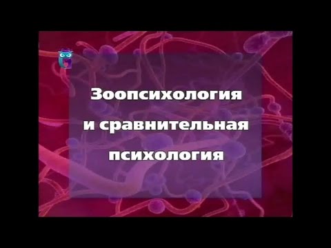 Видео: Зоопсихология и сравнительная психология