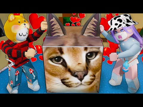 Видео: ЗНАКОМЛЮ ЛАНУ СО ШЛЁПОЙ!
