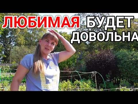 Видео: Зима Не За Горами, Не замерзнем, носочки для Марины, греющий кабель для водопровода