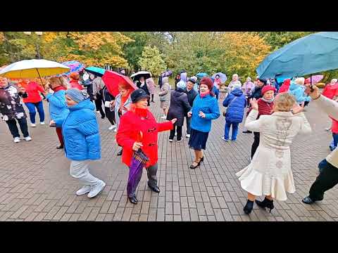 Видео: 12.10.25г..."Зачем Ты так Обиделась?"... звучит в Гомельском парке на Танцполе... 