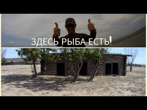 Видео: Рыбалка в районе д. Листвягово. Что хотели то, получили!#рыбалка2025