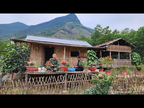Видео: выращивание шпината, уборка в доме, демонтаж старого курятника...