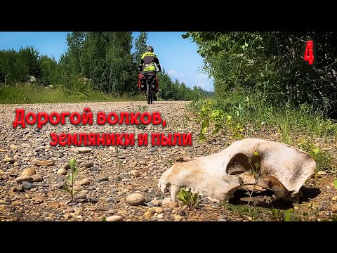 Видео: Дорогой волков, земляники и пыли. Четвёртая серия.