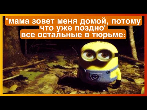 Видео: тикток в тюрьме | подборка мемов