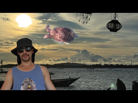 Видео: Таймаут или утренний Гили. Устроился программистом на удаленку в ЗАО "Рай".