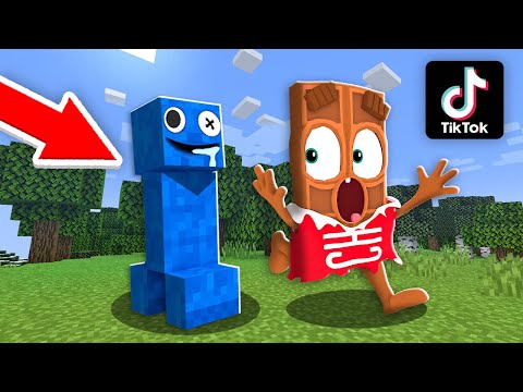Видео: 😱 Я проверил 10 Самых *КРИПОВЫХ* Лайфхаков из Тик Тока в Майнкрафт ! ЧОКО