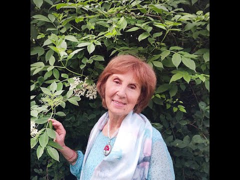 Видео: Еволюция на съзнанието - д-р Светла Балтова