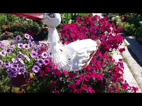 Видео: Обзор моей дачи в Сибири 14 июля! Приглашаю в гости!