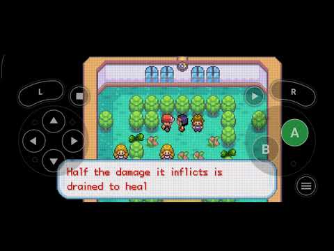 Видео: Покемон файр ред  четвёртый гем лиде! 