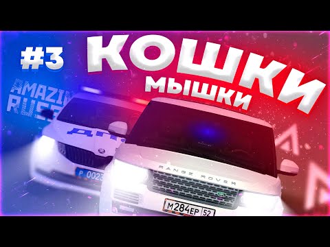 Видео: МЕНТОВСКИЙ БЕСПРЕДЕЛ С НЕОЖИДАННЫМ ФИНАЛОМ! [КОШКИ МЫШКИ]АМАЗИНГ РП