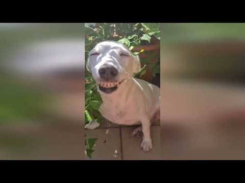 Видео: С Добрым утром!!!