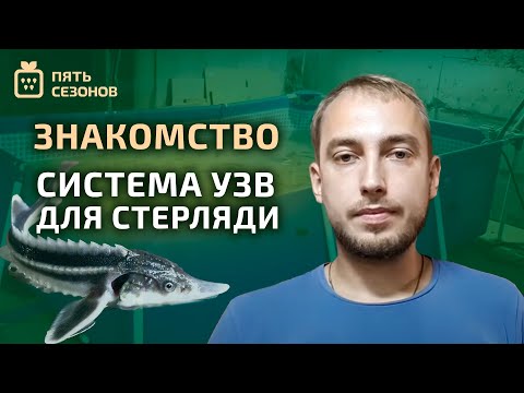 Видео: Знакомство: мои проекты в области сельского хозяйства // Система УЗВ для стерляди