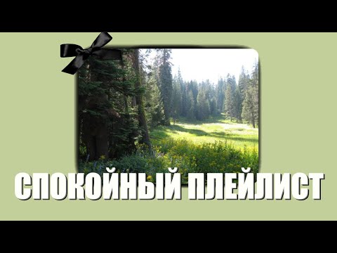 Видео: плейлист чтобы отдохнуть||спокойная музыка||