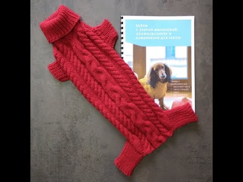 Видео: Мастер-класс №4: Комбинезон/свитер для таксы #мастерклассповязанию #свитердлясобаки