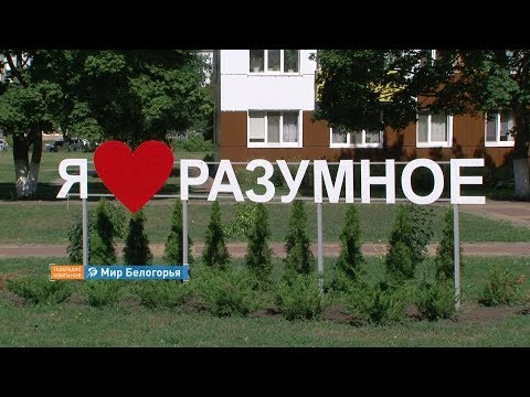 Видео: «Сельский порядок». Разумное Белгородского района (28.08.2019)