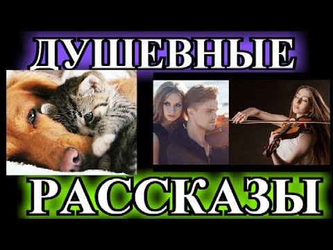 Видео: ДУШЕВНЫЕ РАССКАЗЫ\2❤️Я ИЩУ ЖЕНЩИНУ ПО ИМЕНИ АЛЕКСАНДРА❤️ТАК ХОТЕЛОСЬ СТАТЬ ОТЦОМ❤️@TEFI РАССКАЗЫ