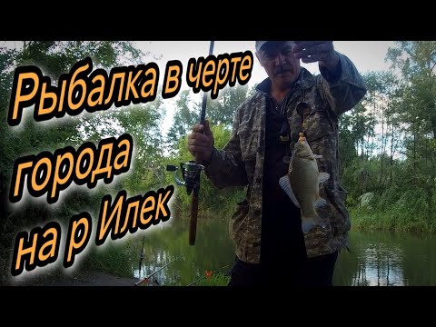 Видео: Рыбалка в черте города на р Илек  КАРАСЬ ПОДЛЕЩИК СОМИК НА ДОНКУ  г Актобе июнь 2025г