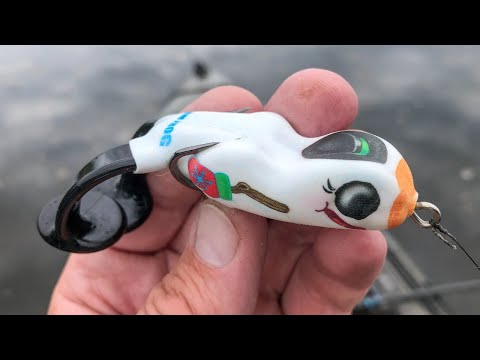 Видео: Рыбалка с Фрости, мерзкой лягушкой!