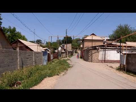 Видео: "Зеленую балку" в Шымкенте снесут в этом году