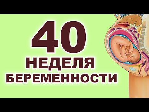 Видео: Что происходит с ребенком и мамой на 40 неделе беременности? 9 месяц беременности. Третий триместр.