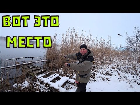Видео: ОТ ТАКОГО КЛЁВА И РУКИ УСТАНУТ!!