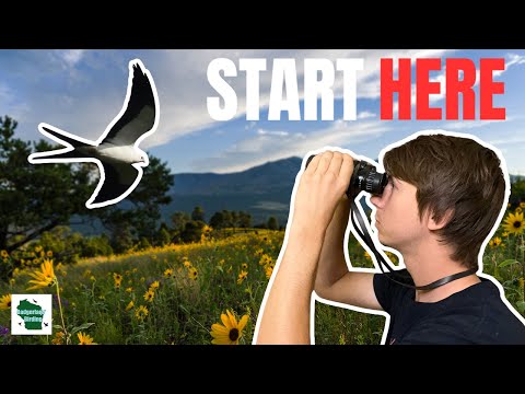 Видео: Основы наблюдения за птицами: полное руководство для начинающих