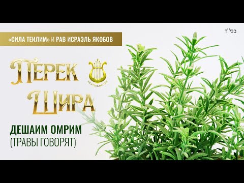 Видео: 🎻 Перек Шира. ТРАВЫ говорят. Урок 31. Рав Исраэль Якобов