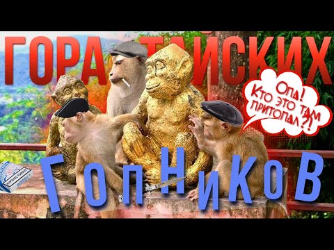 Видео: Гора обезьян на Пхукете. Пешком из олд-тауна.