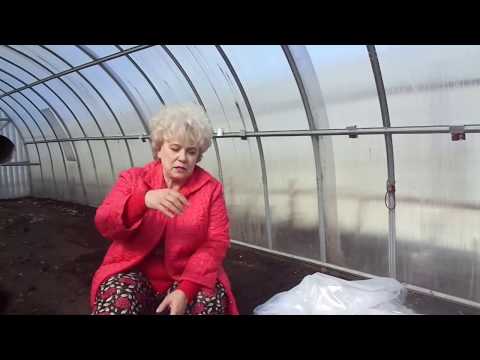Видео: Посев капусты в холодную теплицу. Ольга Чернова.