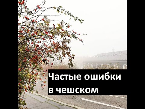 Видео: Частые ошибки в чешском #5