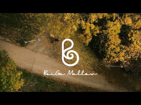 Видео: Мягкое солнце и свежий ветер — фортепиано, поднимающее настроение.