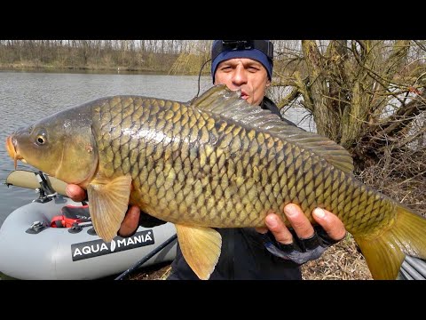 Видео: Ух и рыбалка! Я его взял! Ловля карпа в коряжнике на удочку с боковым кивком!