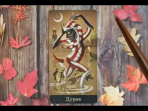 Видео: Для начинающих. Видеоурок по колоде  "Таро безумной луны".Старший аркан Шут(Дурак)