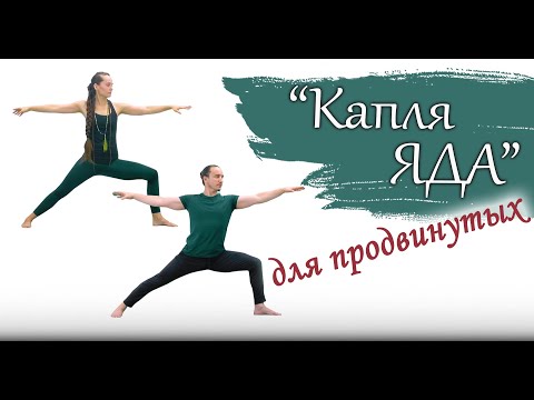 Видео: Йога для ОПЫТНЫХ и ПРОДВИНУТЫХ | Силовая практика | Капля яда | ЙогаБанда