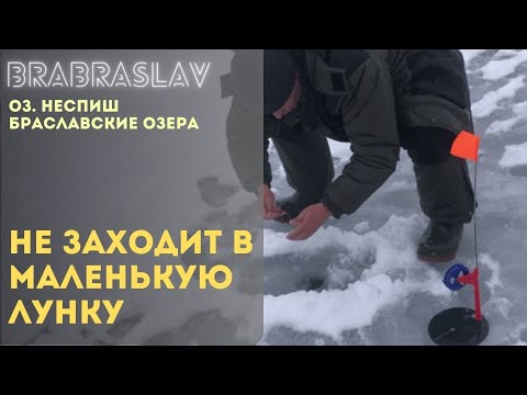 Видео: Зимняя ловля щуки на флажки на Браславских озерах - о. Несьпиш