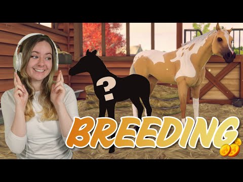 Видео: ВЫВЕДЕНИЕ МИЛЛИОНА ЗОЛОТЫХ ЛОШАДЕЙ - Rival Stars Horse Racing | Pinehaven