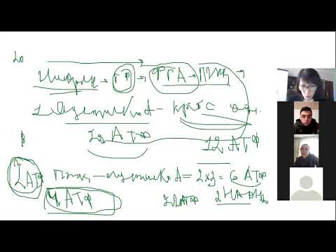 Видео: БИОХИМИЯ КАЗ\Занятие №6. Липидтердің алмасуы -2.
