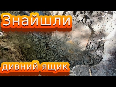 Видео: Що в ящику? Копали цілий день. Пошук в Карпатах