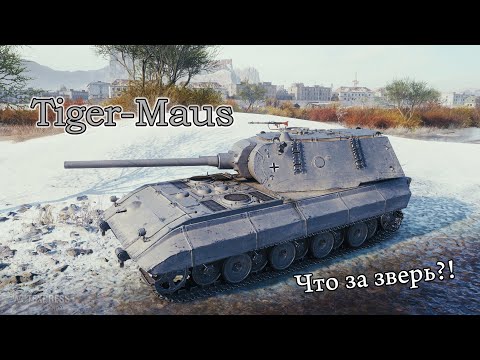 Видео: Tiger-Maus | Что за зверь?!