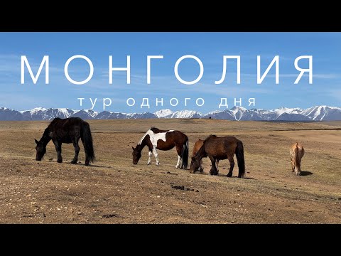 Видео: Монголия: тур одного дня