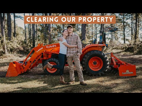 Видео: Начало расчистки нашего участка площадью 5 акров | Десятилетия зарослей!