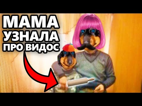 Видео: Мама узнала про СТРИМЫ! DAWG в шоке