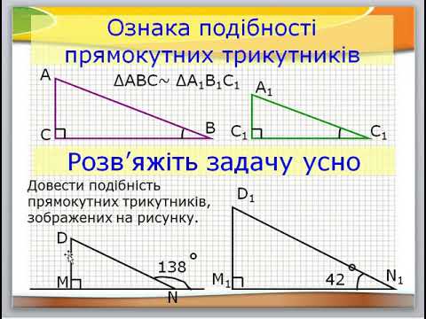 Видео: подібність трикутників