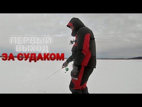 Видео: Первый выход за судаком на ратлины. Говорим о проводках