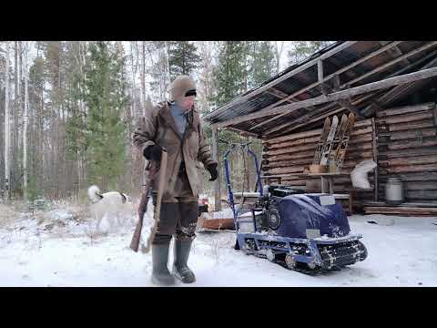 Видео: Пятый день охоты 16.10.25 г. 