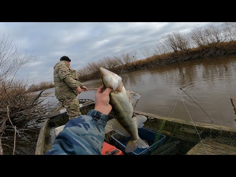 Видео: рыбалка на паук подъёмник  рыбка начала подходить