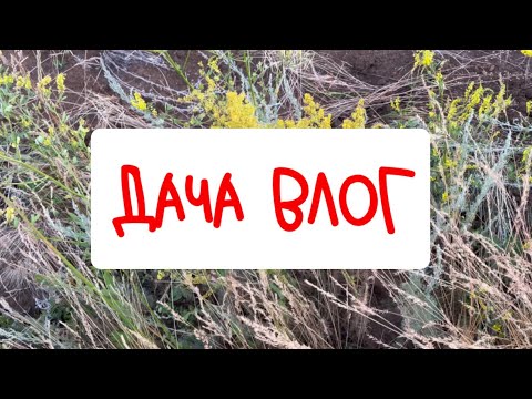 Видео: Дачный влог#дача