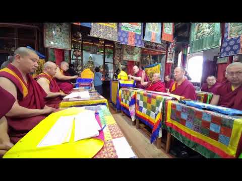 Видео: ОТОШО, ЦЕДО, УВАА ЮРӨӨЛ 16.05.2024 🕙 10:00